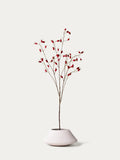 Red rosehip branch-FLOW-PDP