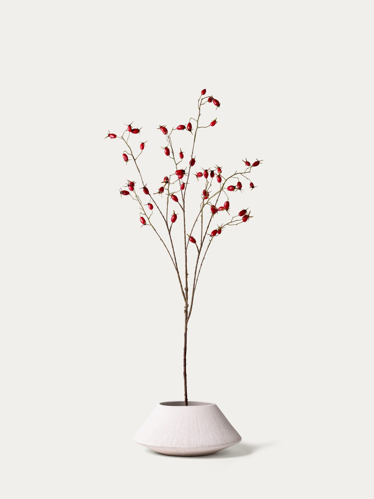 Red rosehip branch-FLOW-PDP