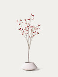 Red rosehip branch