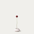 Red scabiosa-FLOW-PDP