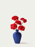 The Sassen