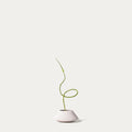 Serpent garlic-FLOW-PDP