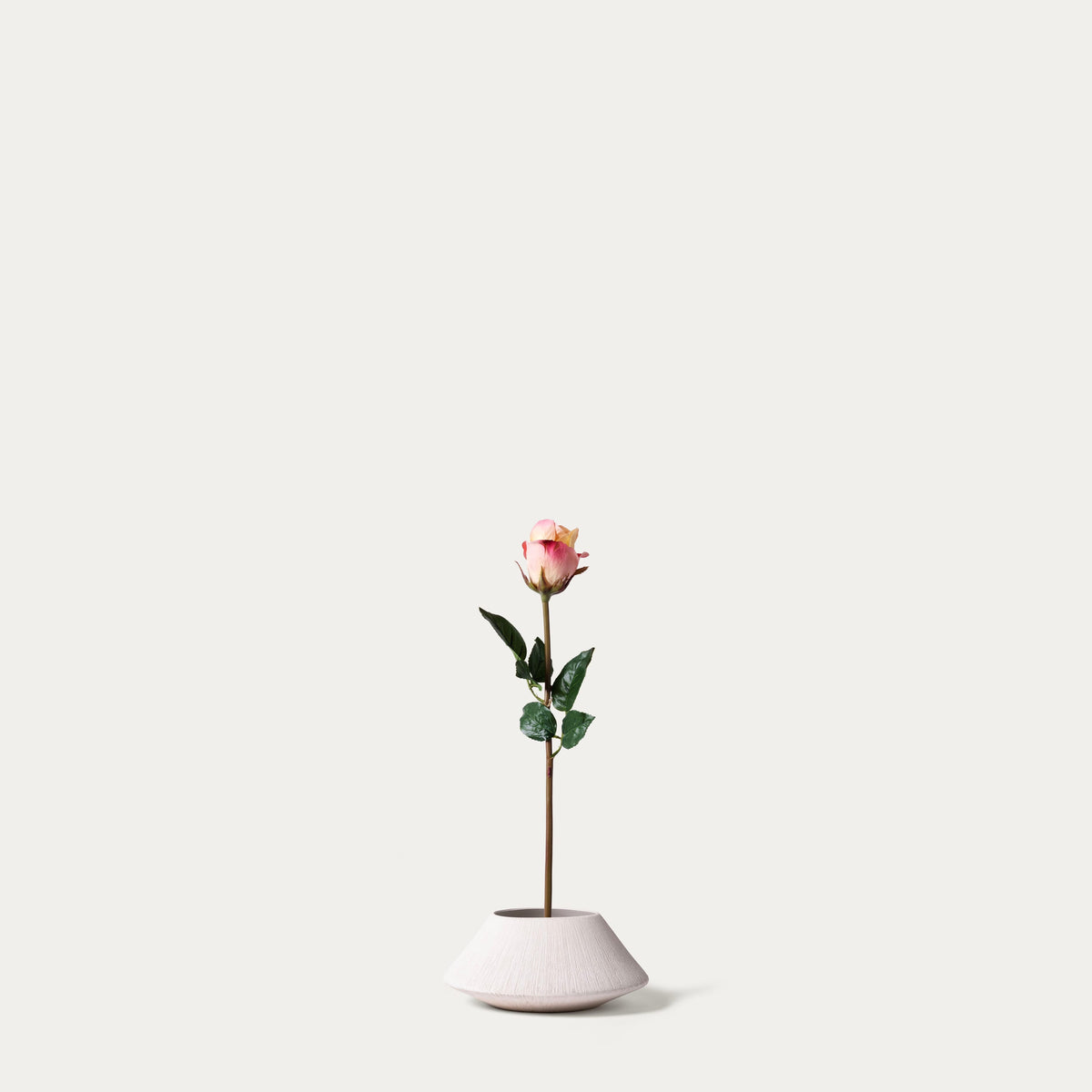 Sunrise Rose-FLOW-PDP