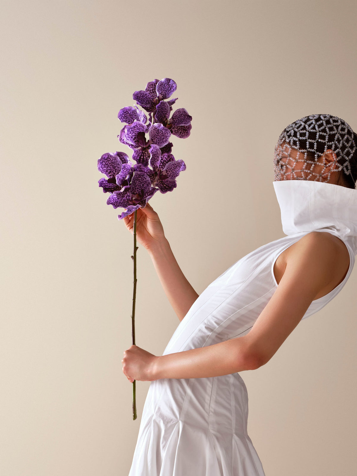 Wanda purple-SIZE-portrait