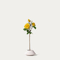 Yellow spray rose-FLOW-PDP