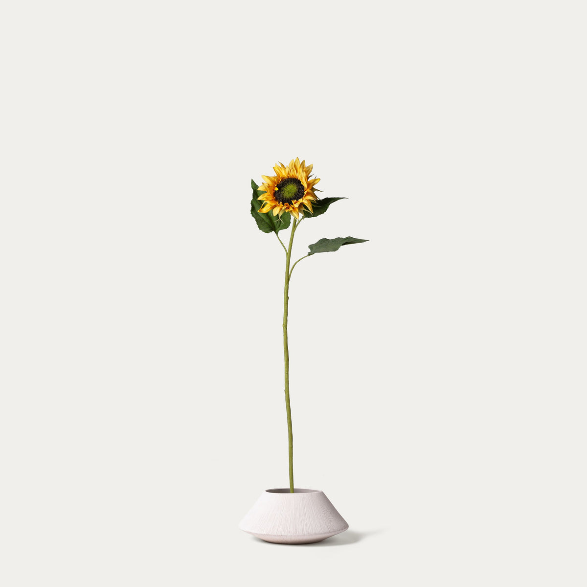 Yellow sunflower-FLOW-PDP