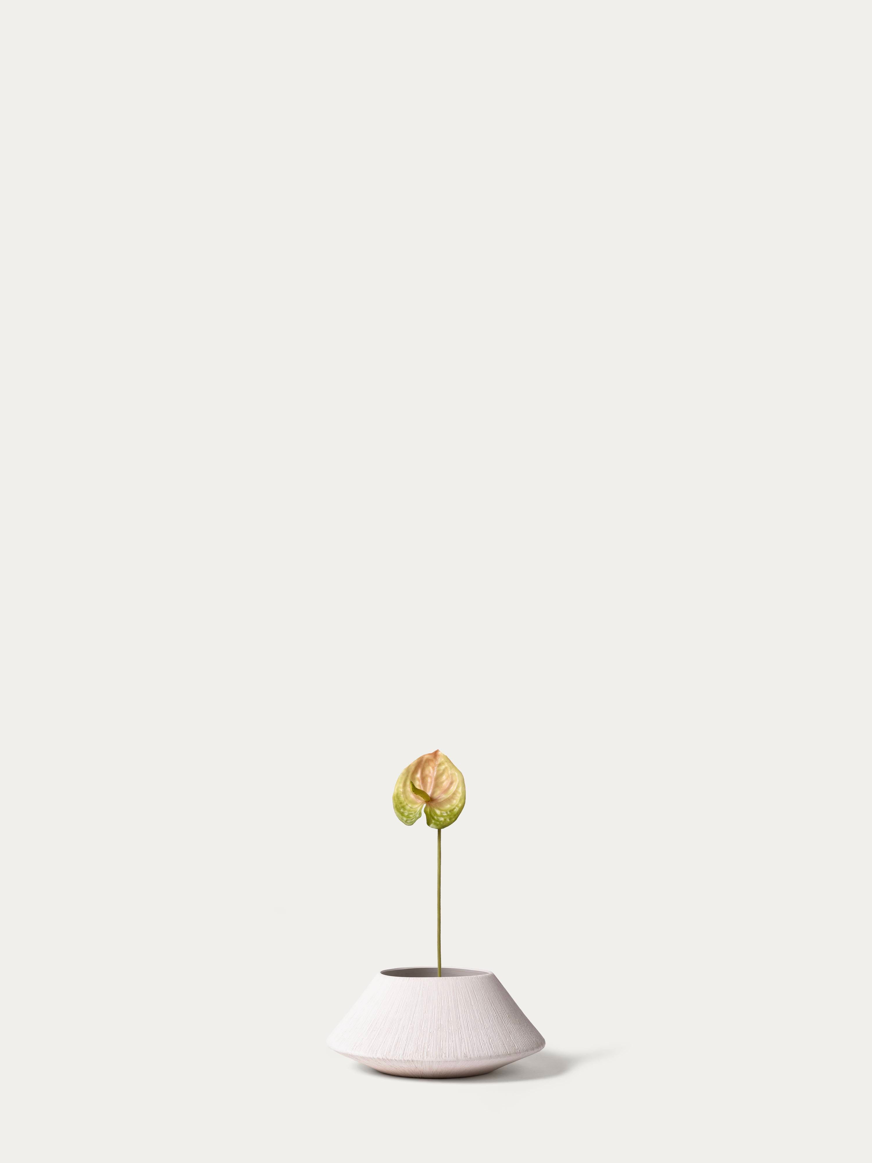 Green Anthurium