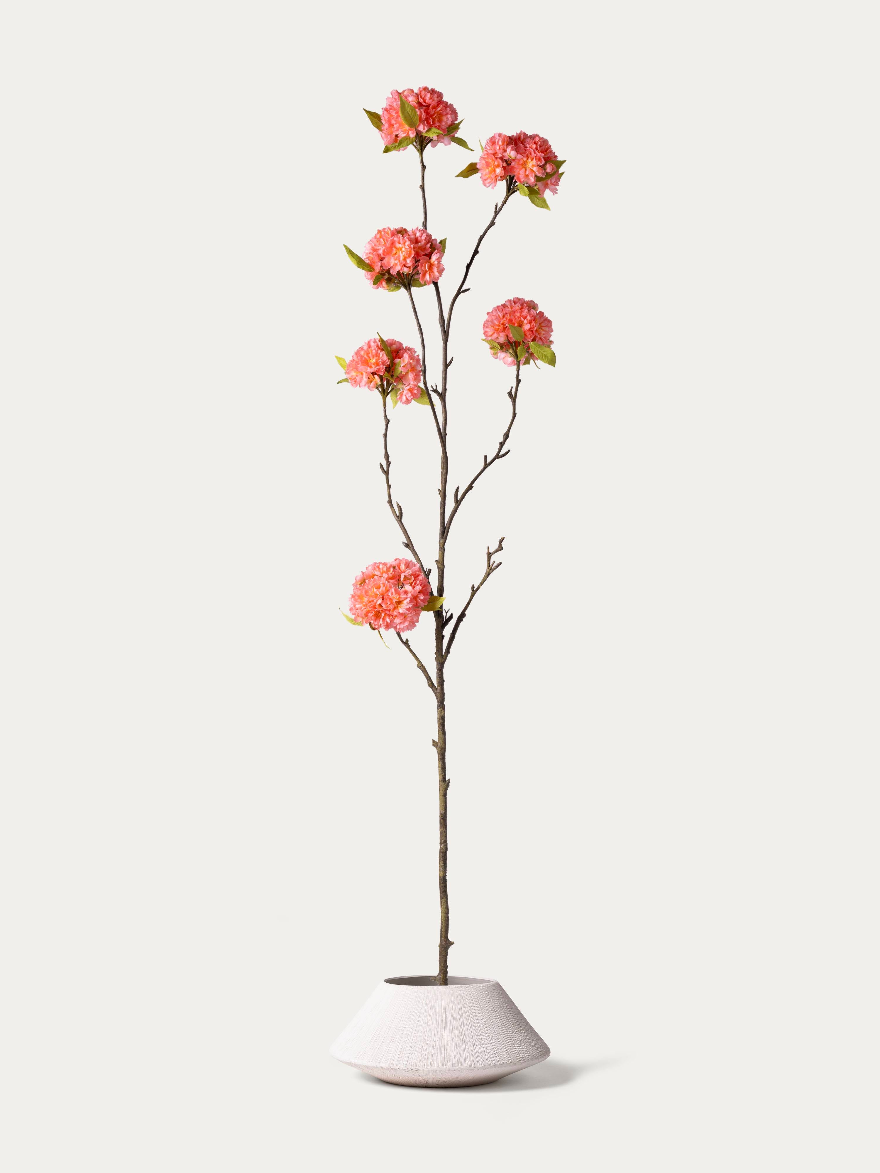 Peach Blossom