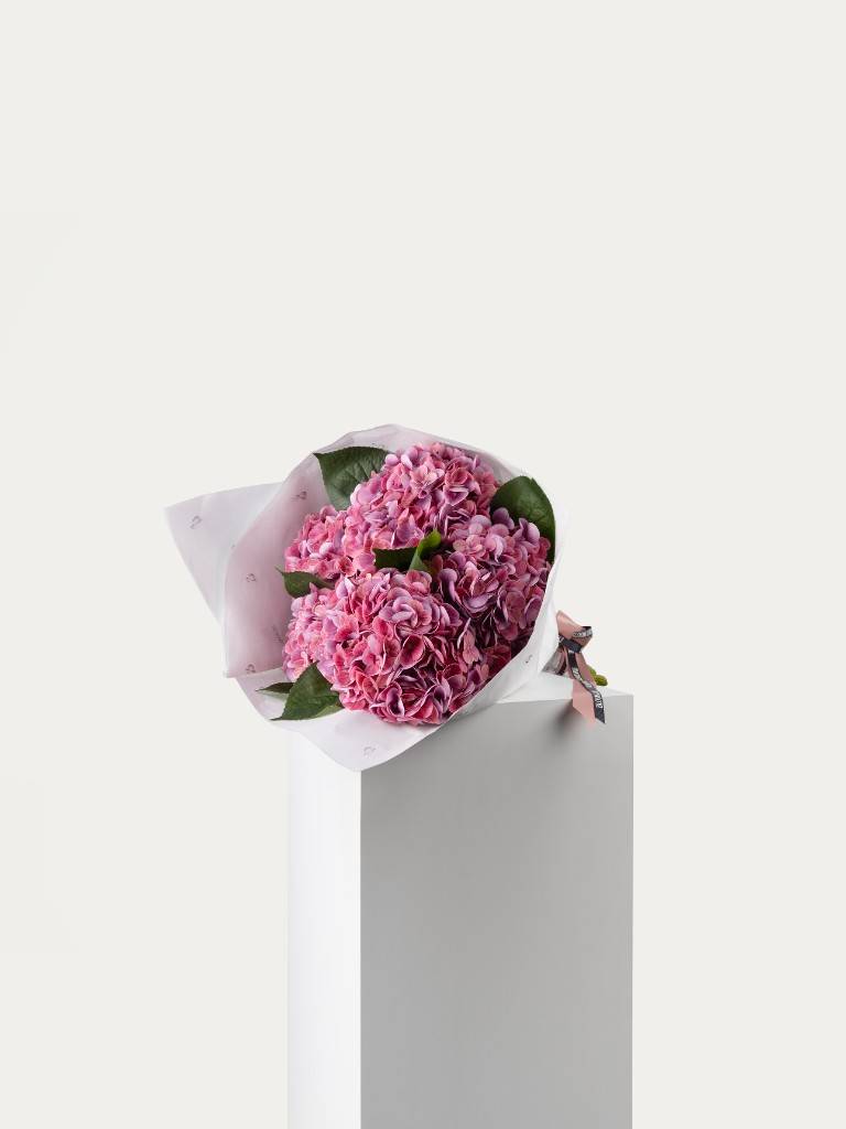 Hydrangea bouquet