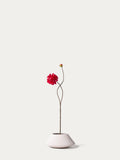 Red Dahlia