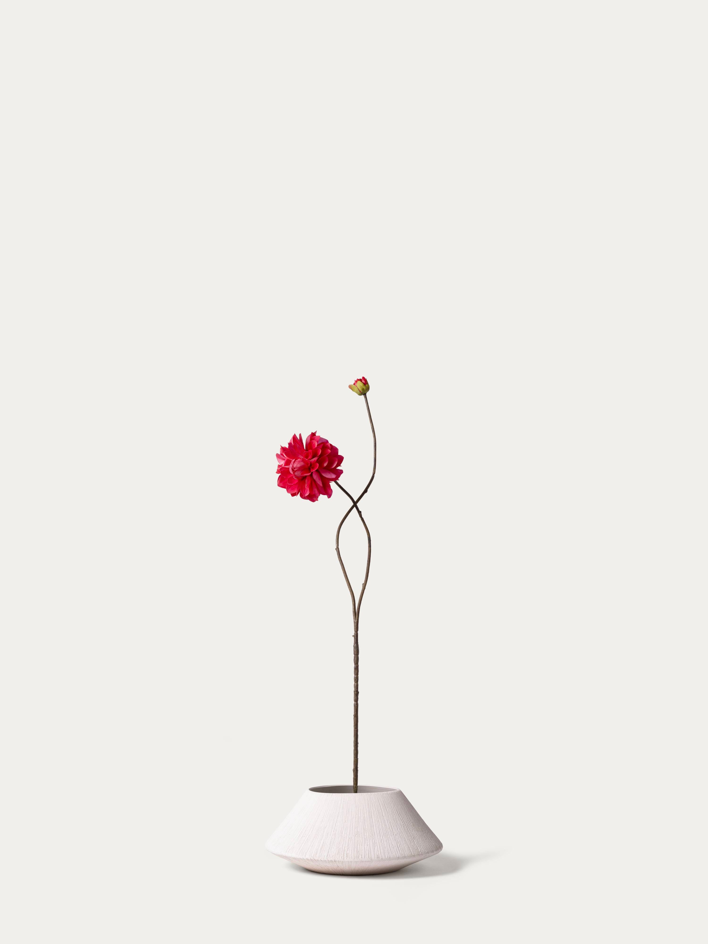 Red Dahlia