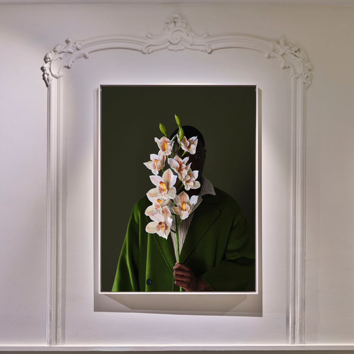 The Cymbidium wall print interior