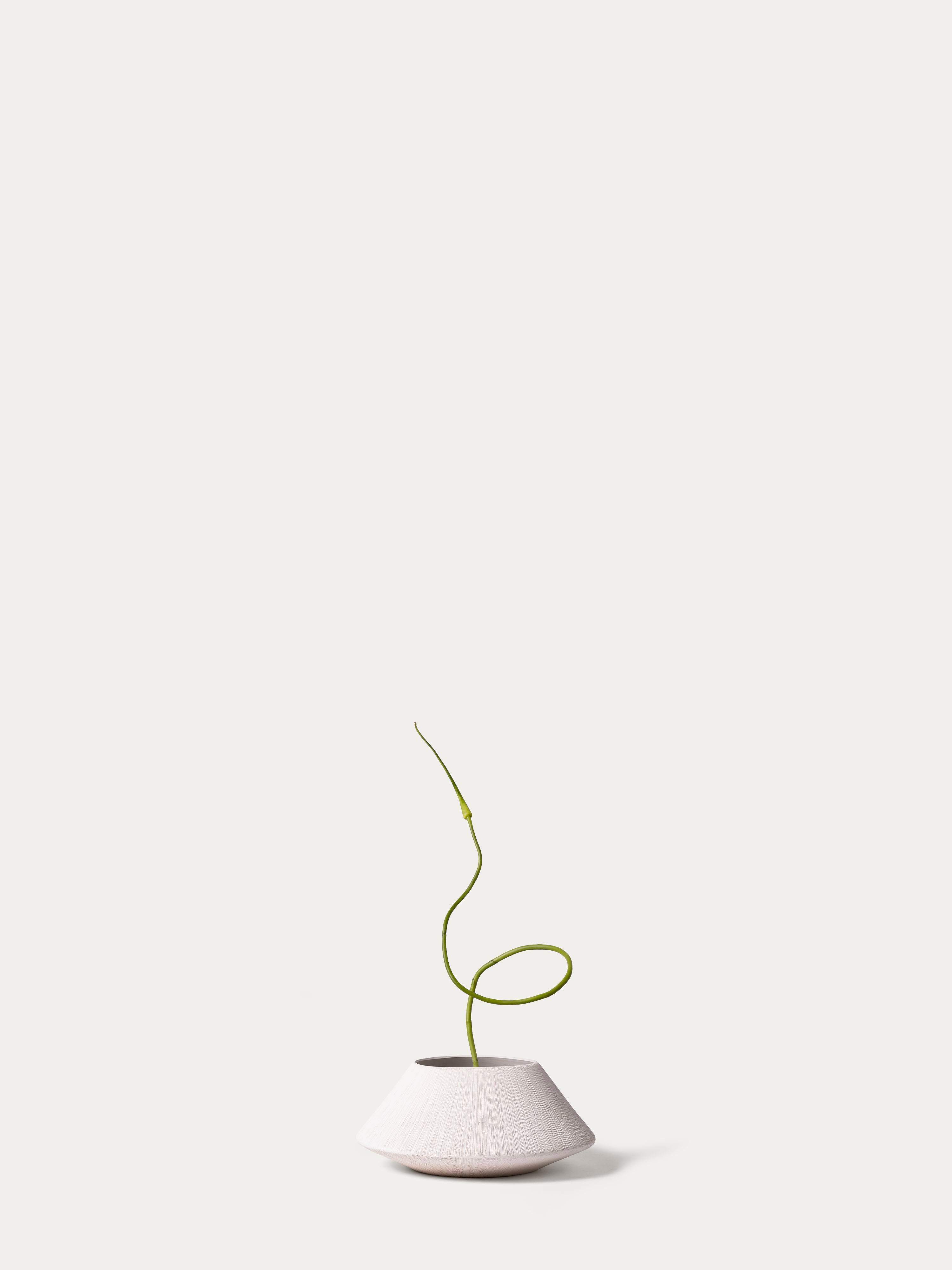 Serpent Garlic